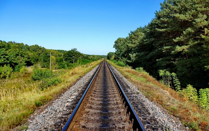 Train tracks through a forest on a clear day