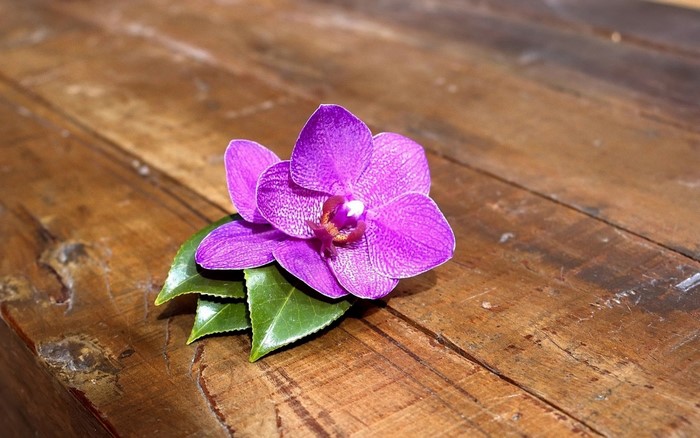 Purple orchid flower with green leaves on wooden table