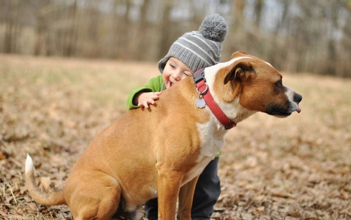Happy Baby Hugging Large Brown Dog Outdoors