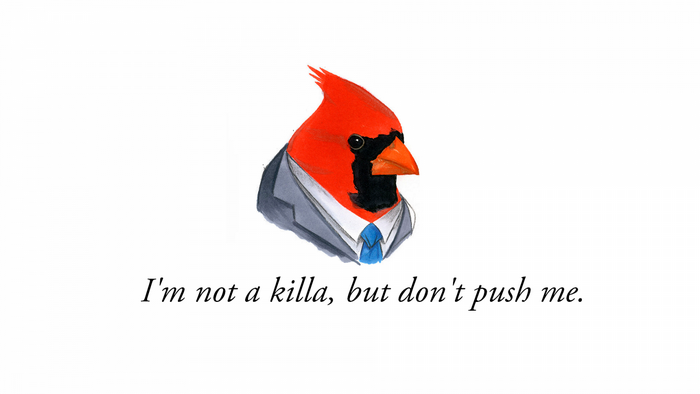 Cardinal in a suit with text