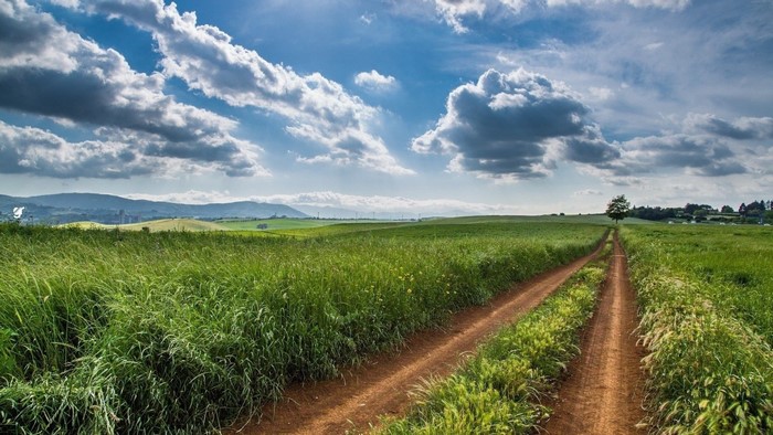 Dirt road through a green field under a cloudy sky