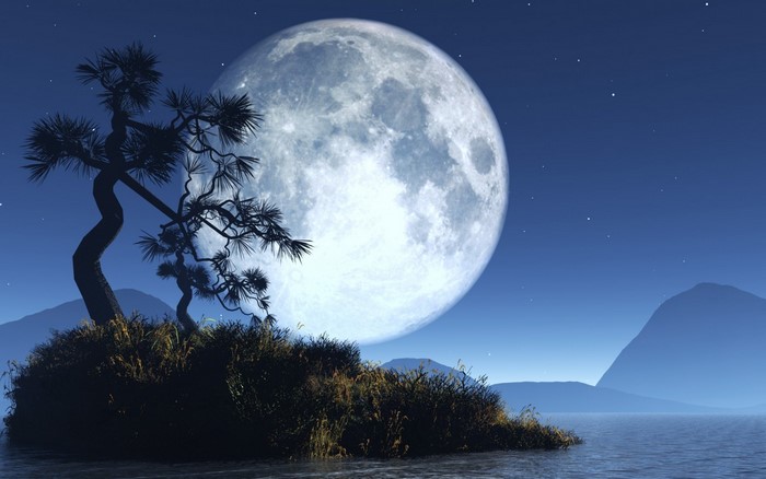 Full moon over the ocean with a silhouetted tree