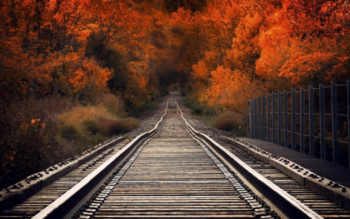 Train tracks through an autumn forest