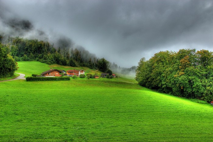 Houses on a green hill with a forest and cloudy sky