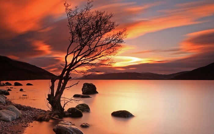 Tree silhouette on a lake during sunset with colorful clouds
