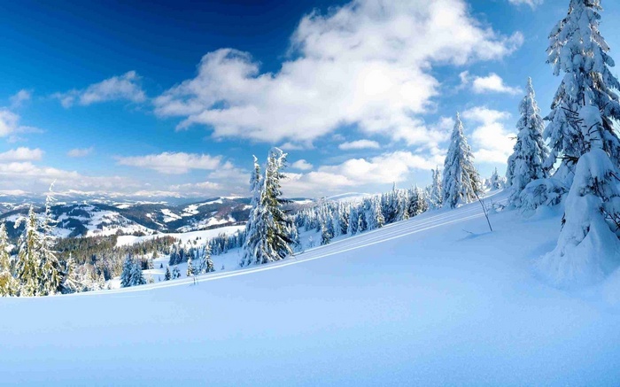 Snowy mountain landscape with pine trees and clouds