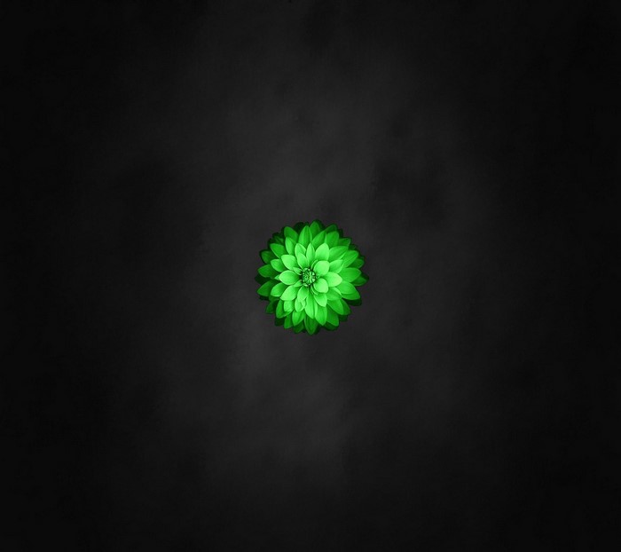 Green flower on black background