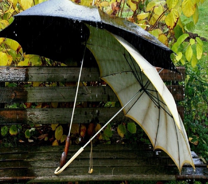 Two umbrellas on a wooden bench in the rain