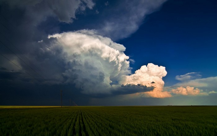 Storm clouds over a green field with power lines