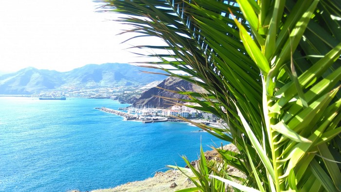 Coastal city with mountains and palm trees