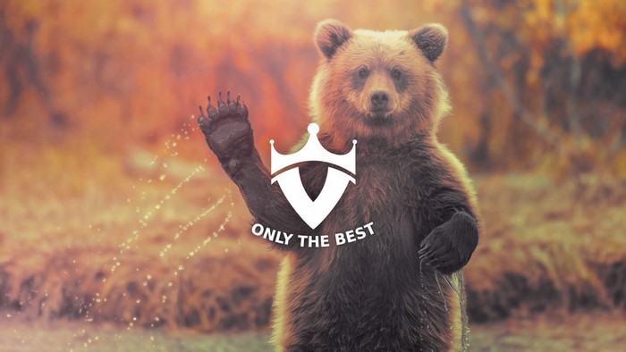 Brown bear waving with a logo overlay