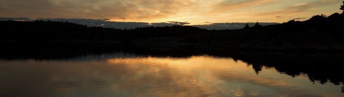 Sunset over a calm lake with silhouetted trees