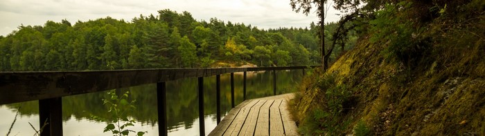 Wooden boardwalk along a forest lake