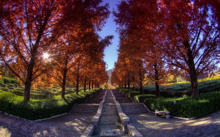 Autumn park with trees and stairs