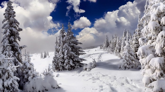Snowy mountain landscape with pine trees and clouds