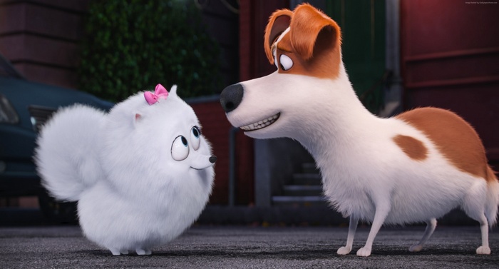 Max and Gidget from The Secret Life of Pets