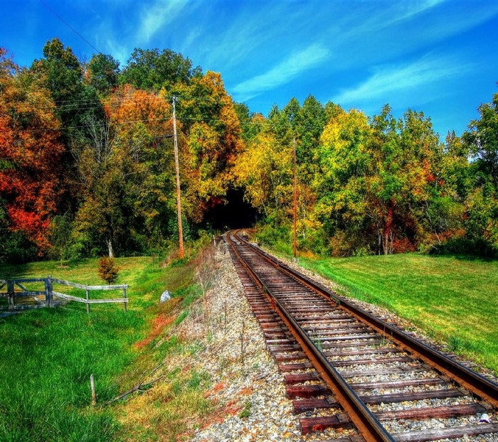 Train tracks leading into a tunnel surrounded by autumn trees