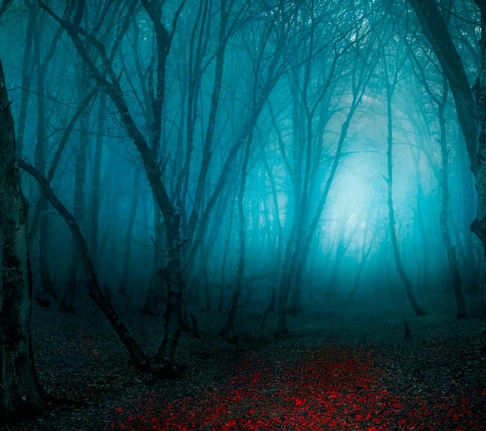 Eerie forest with red leaves and blue mist
