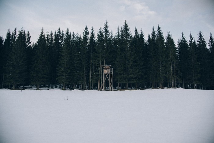 Hunting blind in a snowy forest