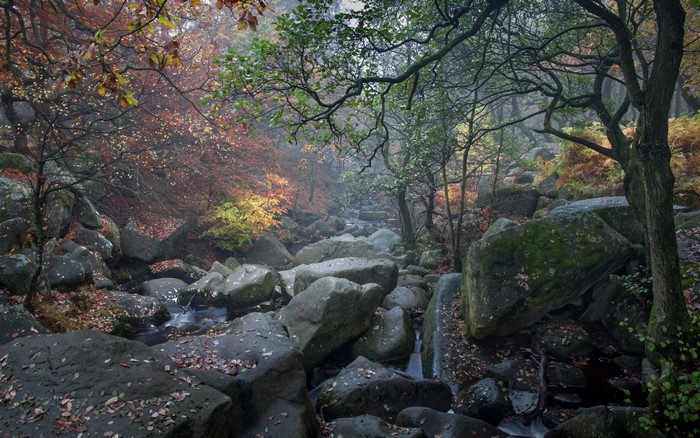Autumn forest stream with large rocks and fallen leaves