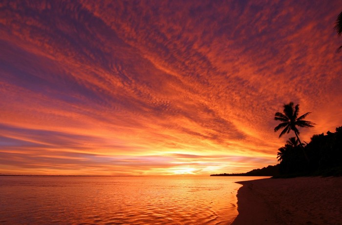 Sunset over the ocean with palm trees on the beach
