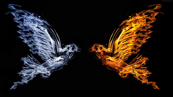 Fire and Water Birds Art