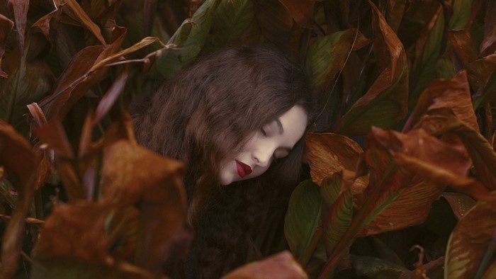 Woman sleeping among autumn leaves