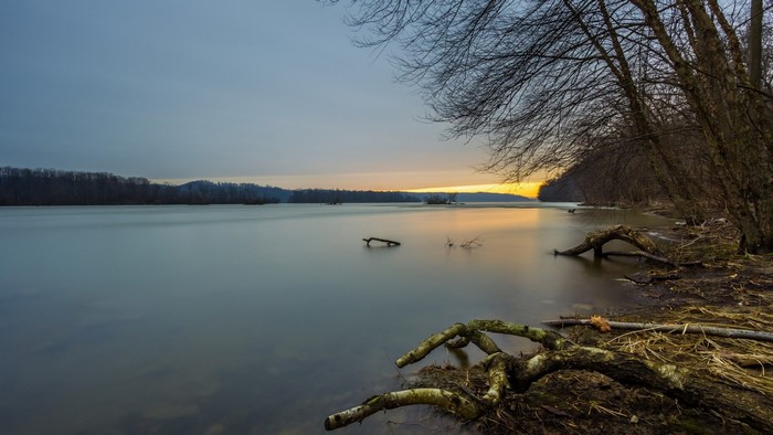 Calm lake at dusk with bare trees on the shore