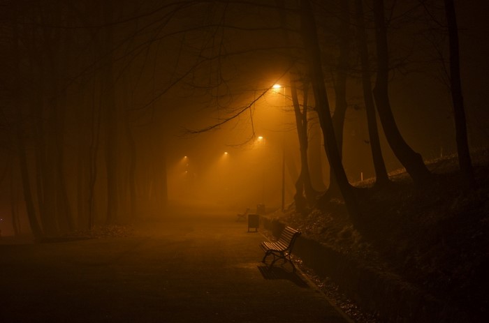 Park path at night with streetlights and fog