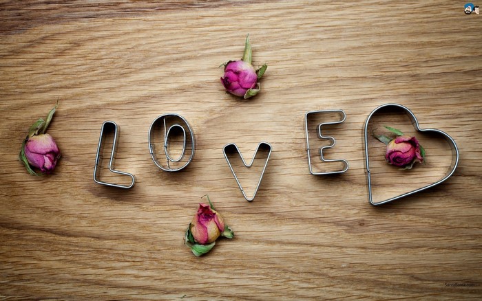 Cookie cutters spelling LOVE with dried roses on wood