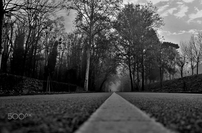 Monochrome road through a misty forest with a lone figure