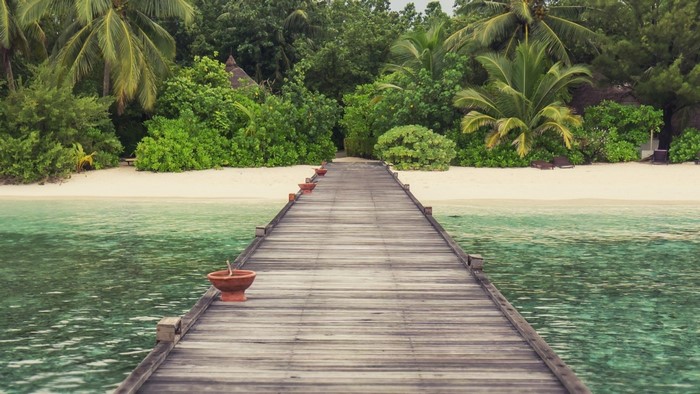 Wooden pier leading to a tropical beach with palm trees