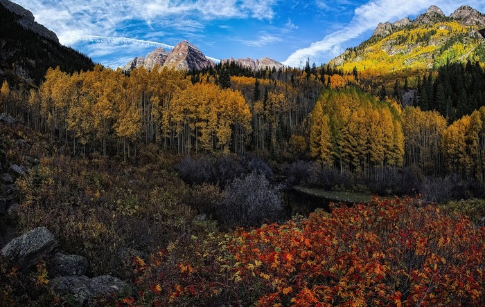 Autumn forest with mountains and blue sky