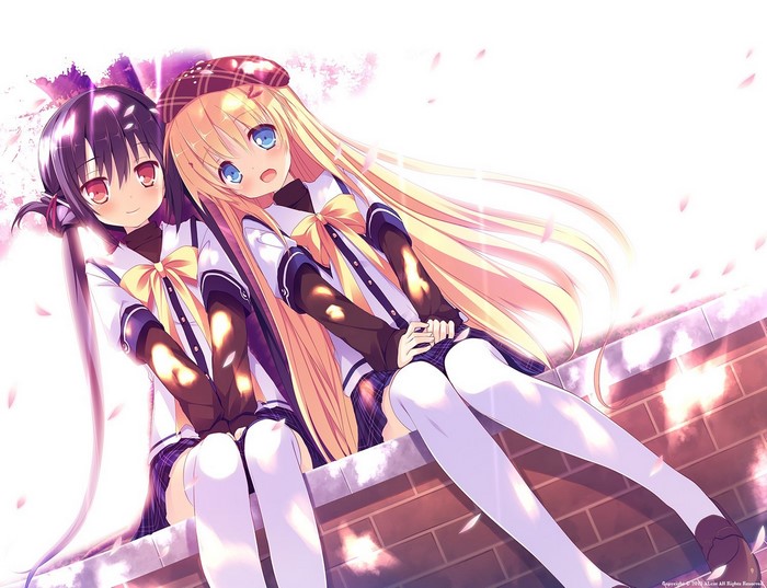Takakura Anri and Takakura Anzu from Clover Days