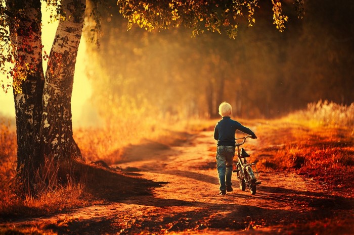Boy with bicycle on a path in autumn forest at sunset