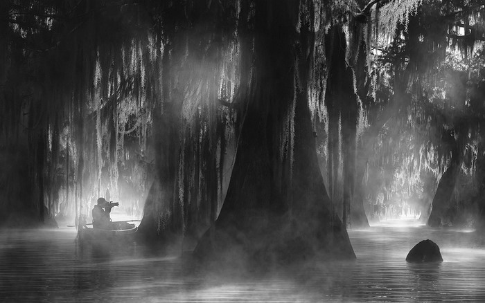 Photographer in a boat in a misty cypress swamp