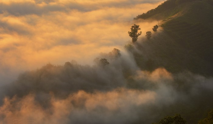Misty mountain landscape at sunrise with golden clouds