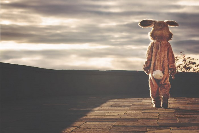 Person in bunny suit walking on rooftop at sunset