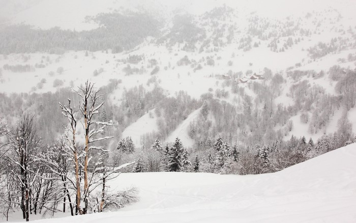 Snowy mountain landscape with trees and houses