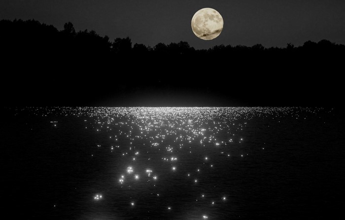 Full moon over a dark forest and glittering water