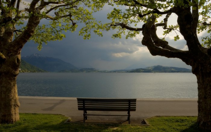 Bench by a lake with trees and mountains