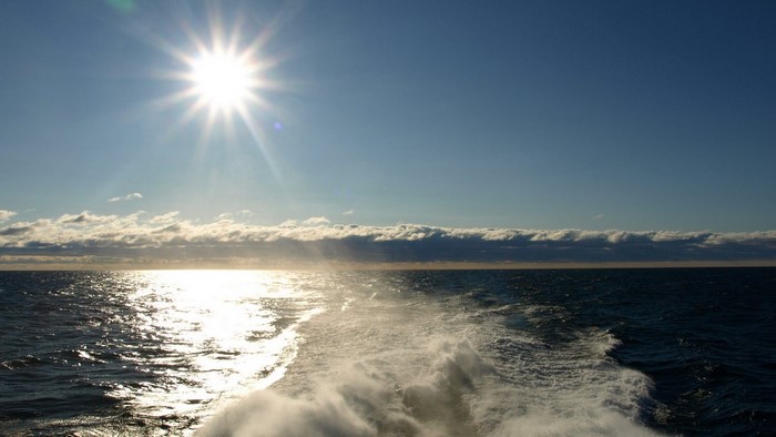 Sun shining over the ocean with boat wake