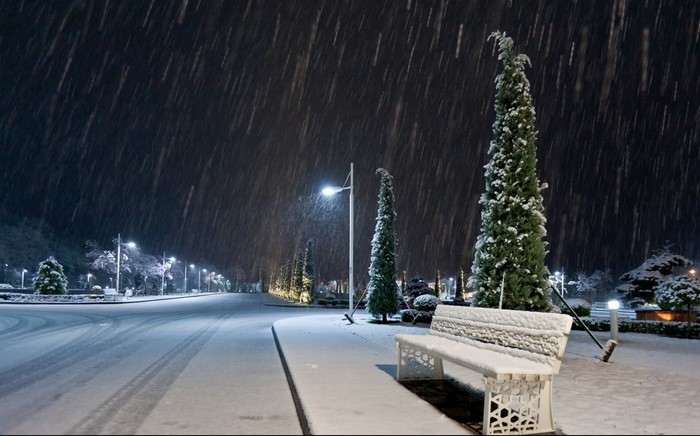 Snowy night with street lights and trees