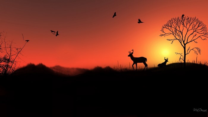 Deer and birds silhouetted against a sunset