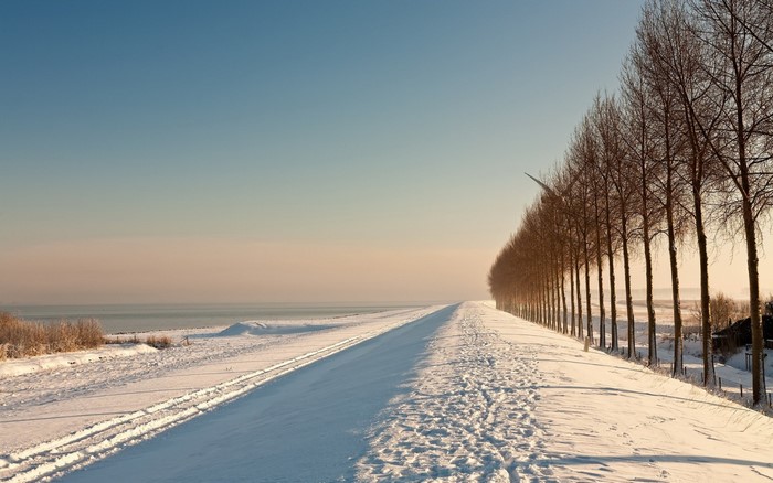Snowy walkway along a frozen sea with trees and a windmill
