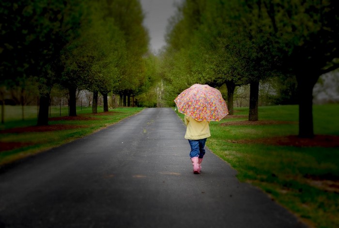 Child with umbrella walking on a tree-lined road
