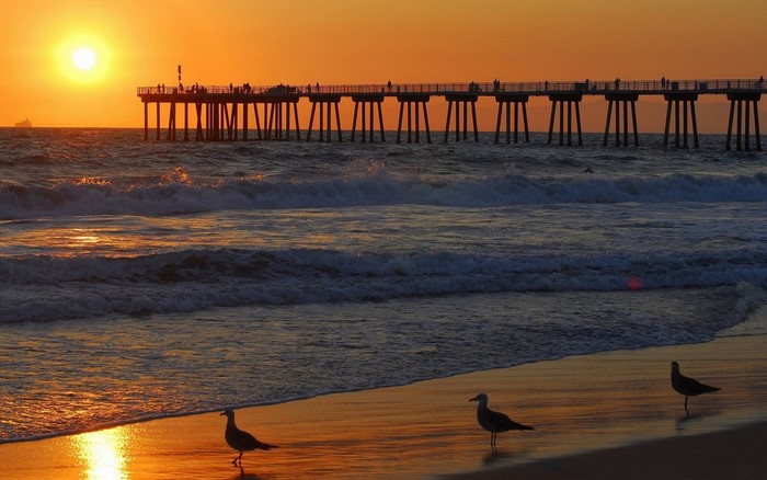 Sunset over the ocean with a pier and seagulls