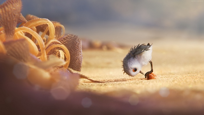 Piper from Pixar