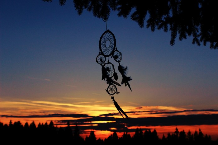 Dreamcatchers hanging from a tree at sunset