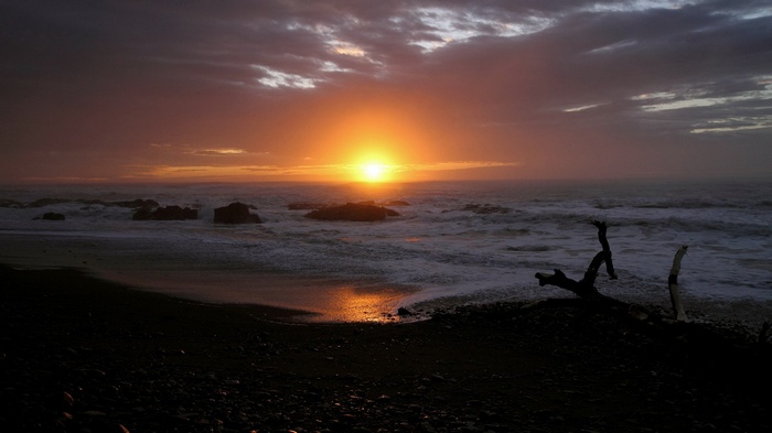 Sunset over the ocean with rocks and driftwood